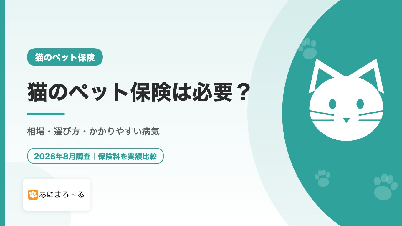 猫のペット保険は必要？相場・選び方・かかりやすい病気を徹底解説