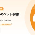 チワワのペット保険おすすめ｜相場・選び方・かかりやすい病気まで徹底解説