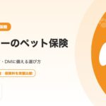 コーギーのペット保険｜椎間板ヘルニア・DMに備える選び方と注意点