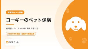 コーギーのペット保険｜椎間板ヘルニア・DMに備える選び方と注意点
