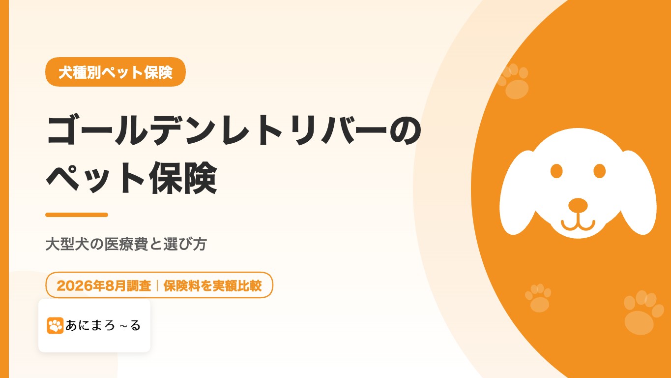 ゴールデンレトリバーのペット保険｜大型犬の医療費と選び方を徹底解説
