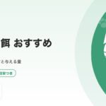 子猫の餌おすすめ｜月齢別の選び方・与える量・切り替え方を徹底解説