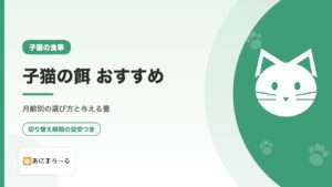 子猫の餌おすすめ｜月齢別の選び方・与える量・切り替え方を徹底解説