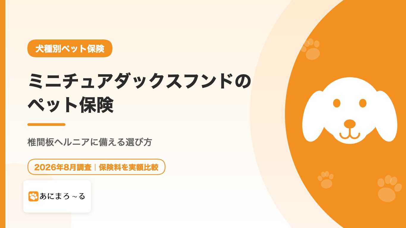 ミニチュアダックスフンドのペット保険｜椎間板ヘルニアに備える選び方と注意点