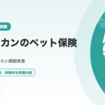 マンチカンのペット保険｜短足で気をつけたい関節疾患と選び方を解説