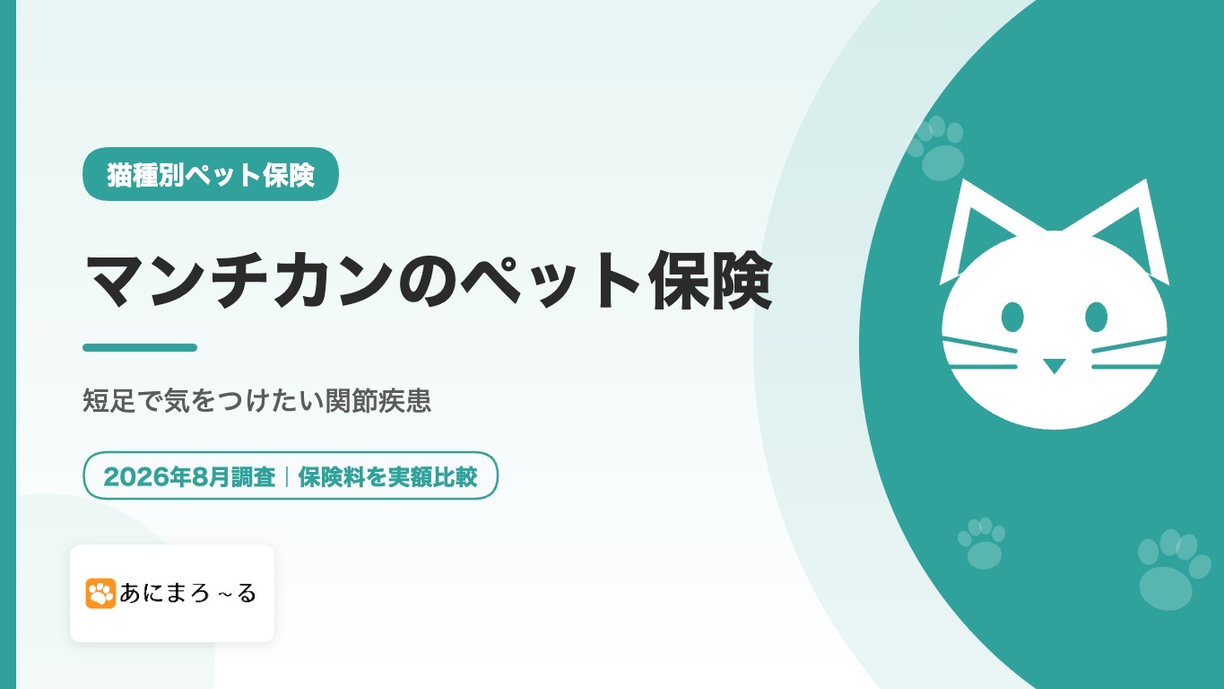 マンチカンのペット保険｜短足で気をつけたい関節疾患と選び方を解説