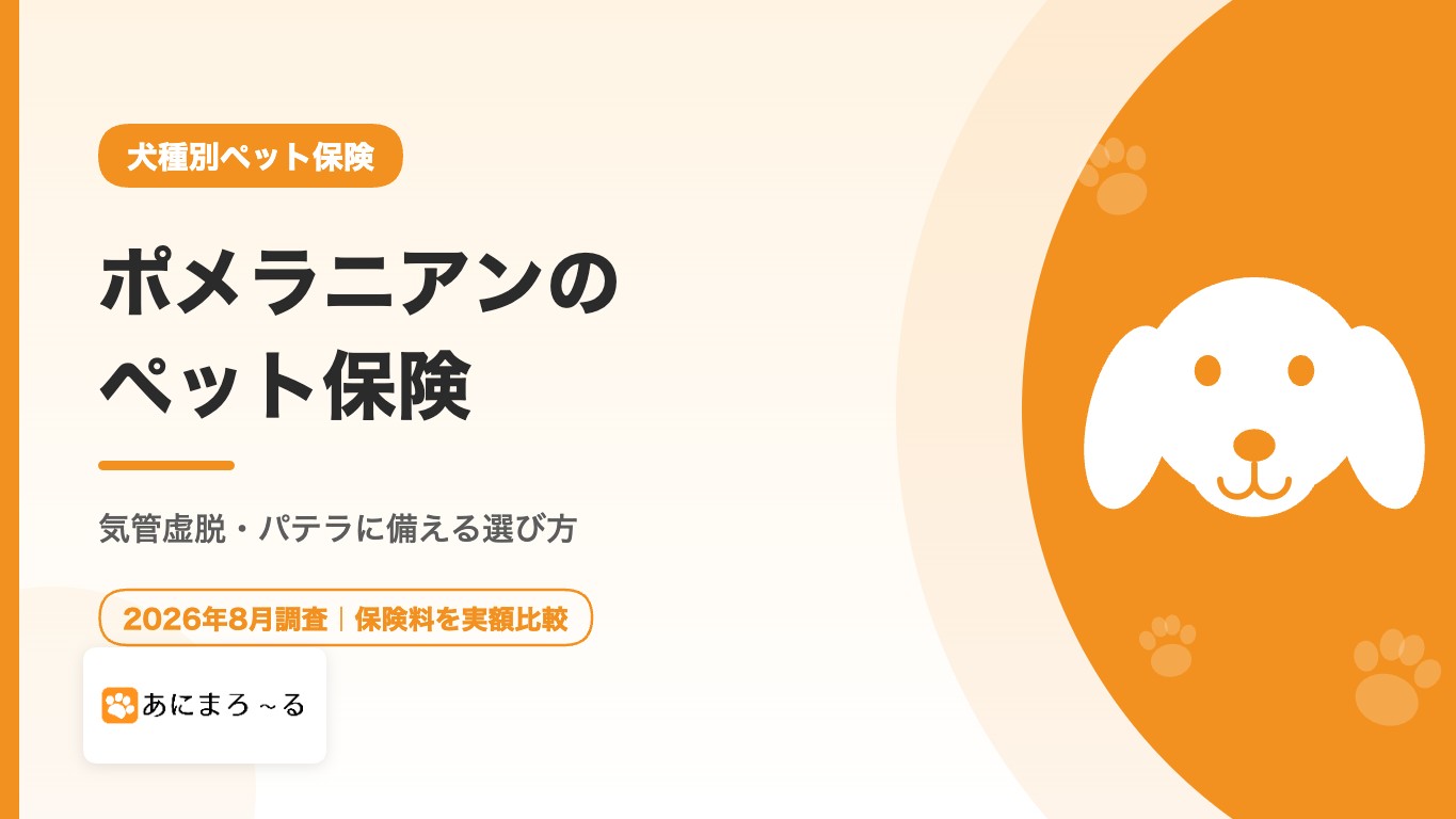 ポメラニアンのペット保険｜気管虚脱・パテラに備える選び方と相場の考え方