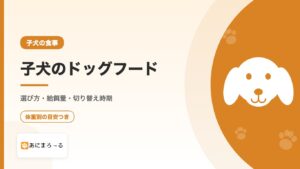 子犬のドッグフードおすすめ｜選び方・給餌量・切り替え時期を徹底解説
