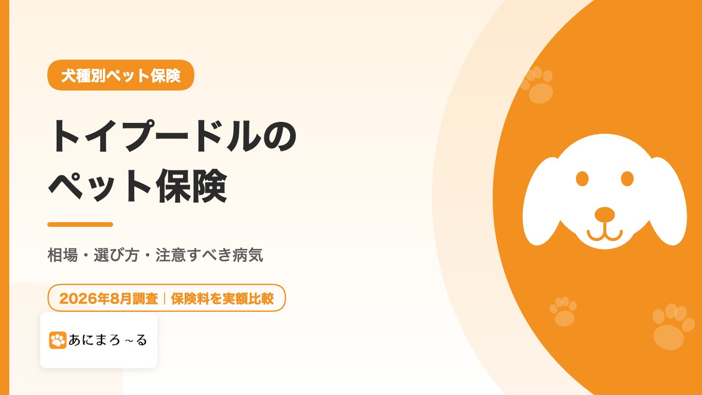 トイプードルのペット保険おすすめ｜相場・選び方・注意すべき病気を徹底解説