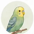 鳥