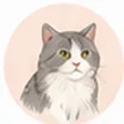 猫