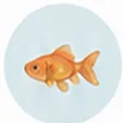 魚