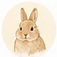 うさぎ